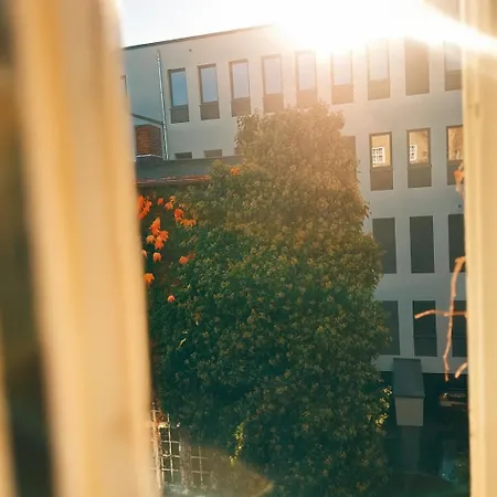 Am Ratshof Halle (Saale)