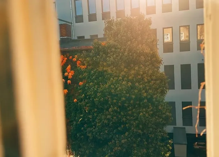 Am Ratshof Halle (Saale)